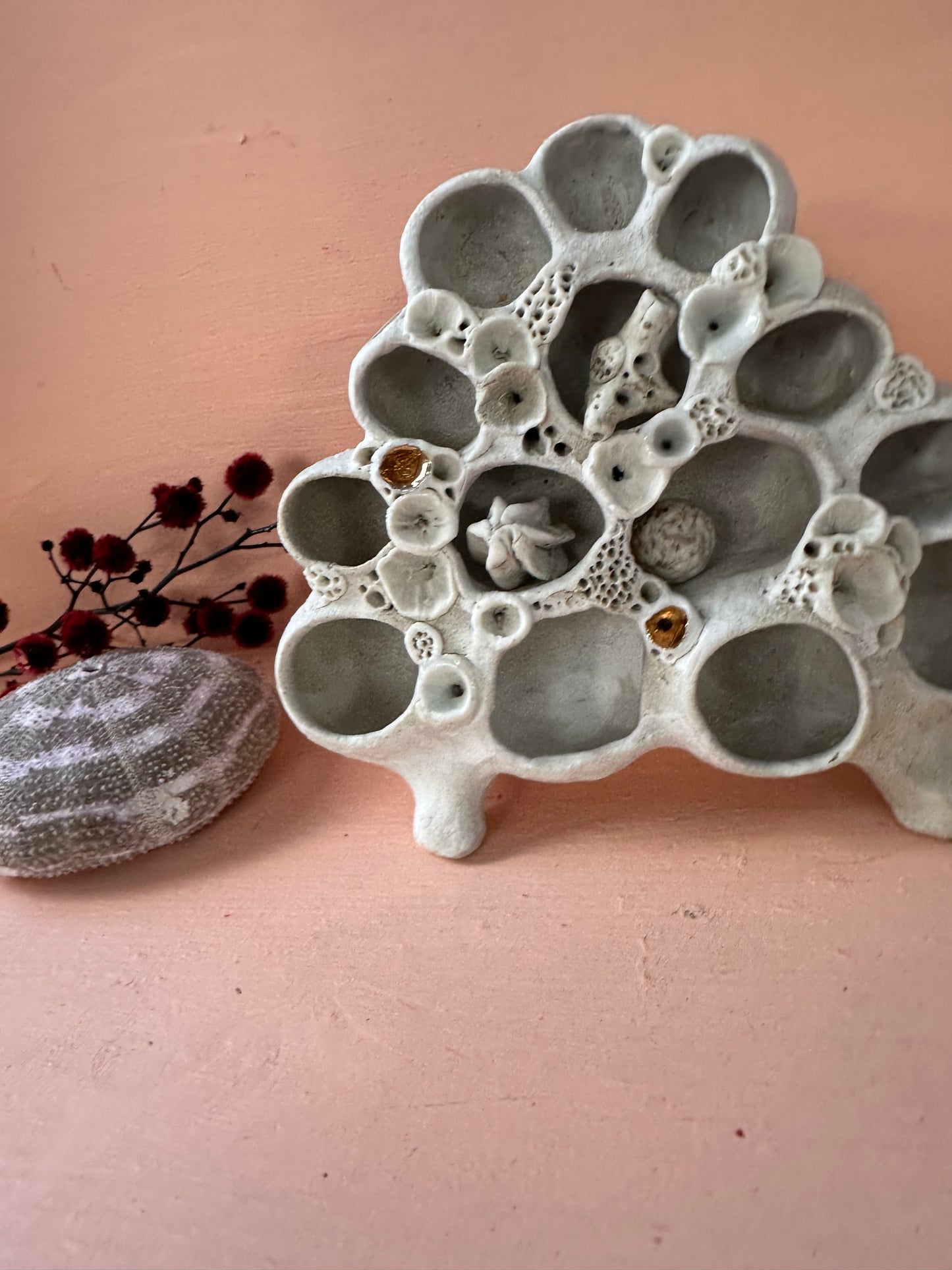 Coral ‘treasure shelf’ and accessories