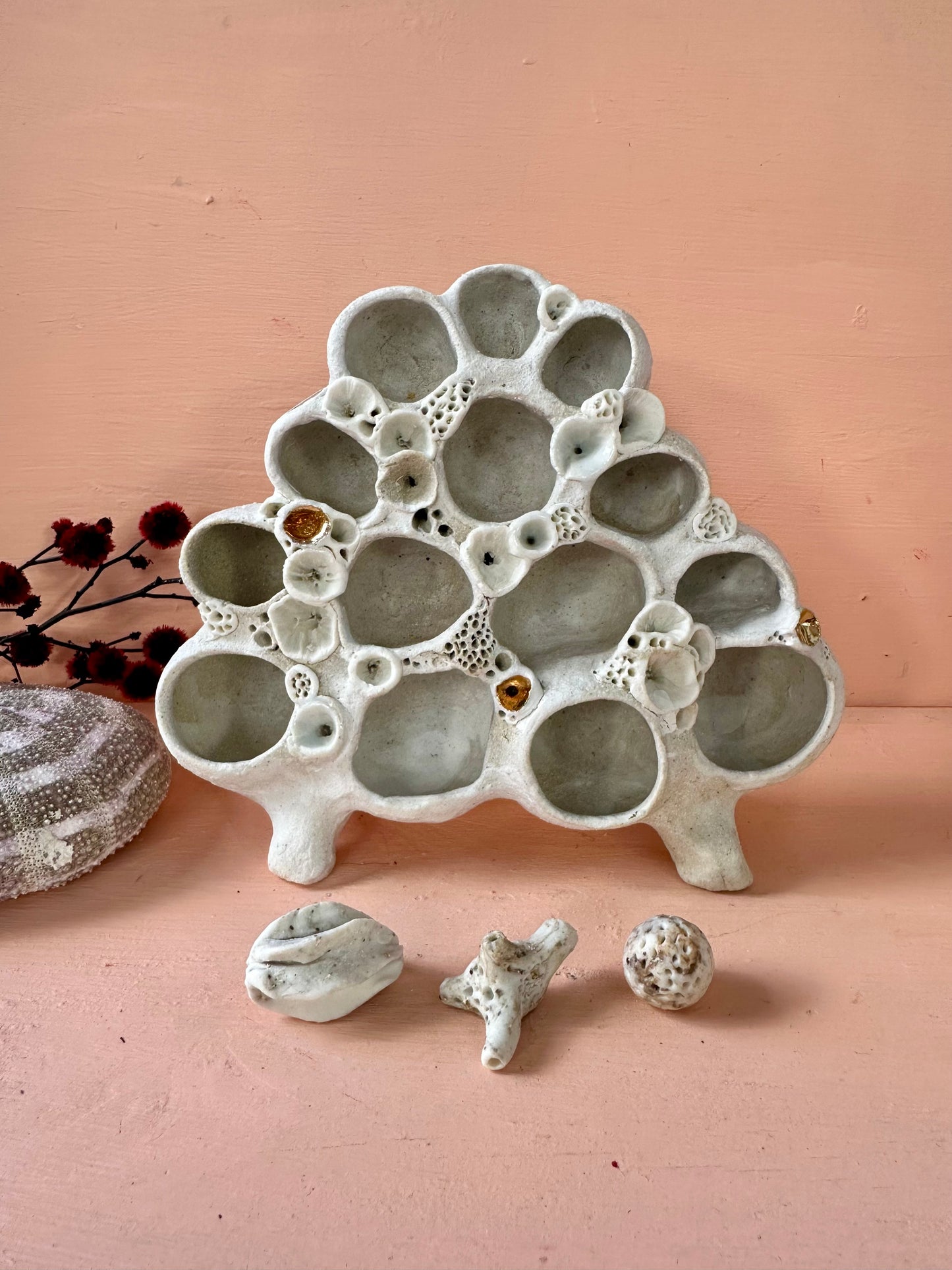 Coral ‘treasure shelf’ and accessories