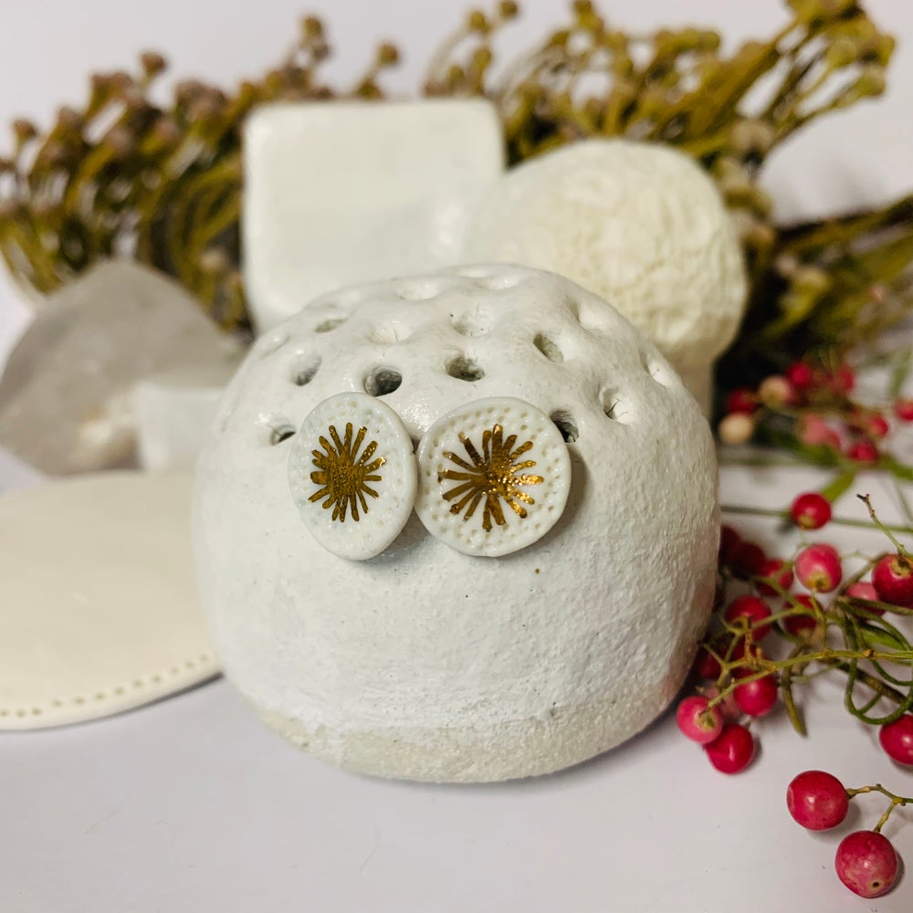 White porcelain studs with gold star