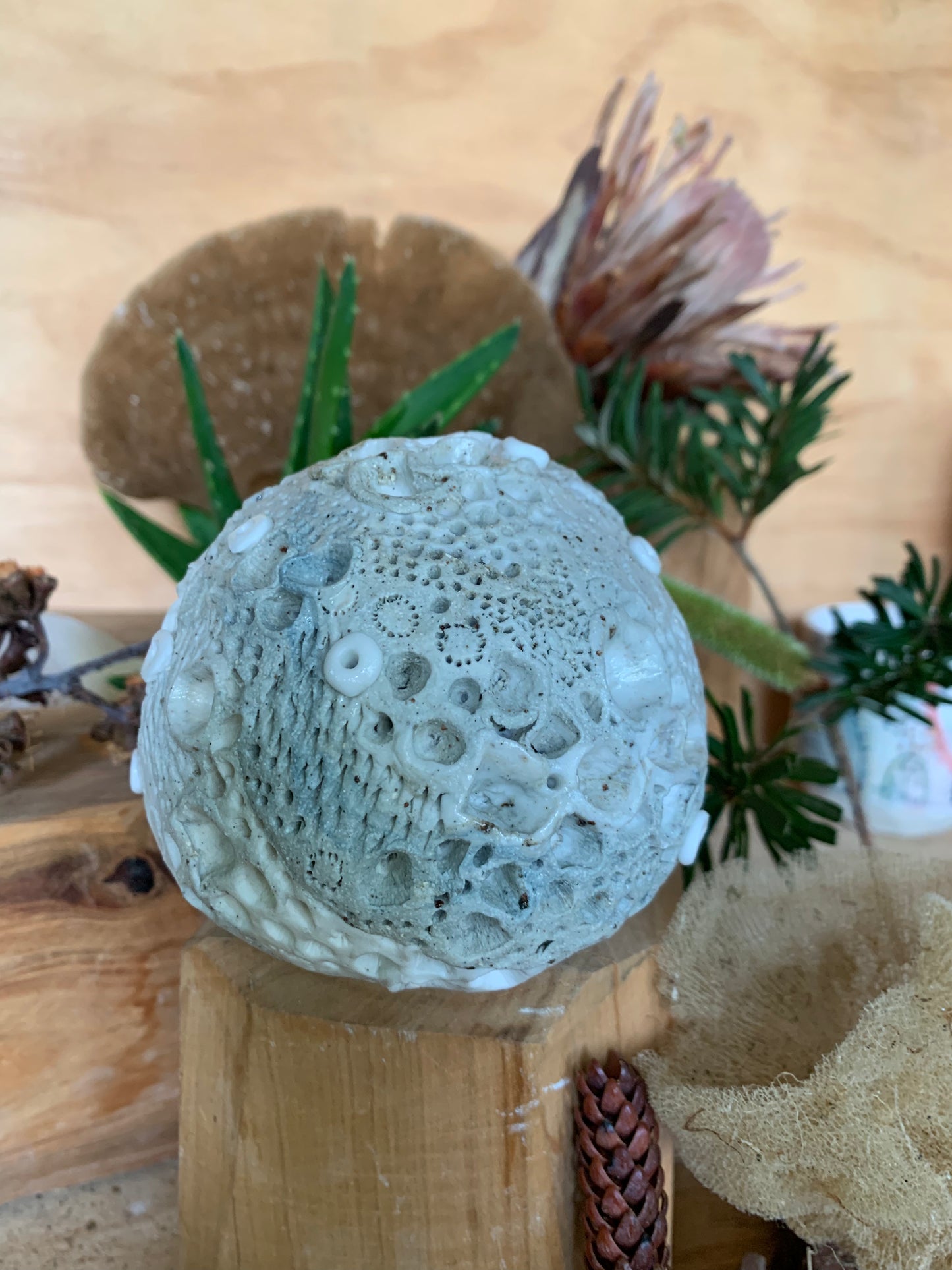 Hand made mixed clay paperweight’ choose one ‘coral’