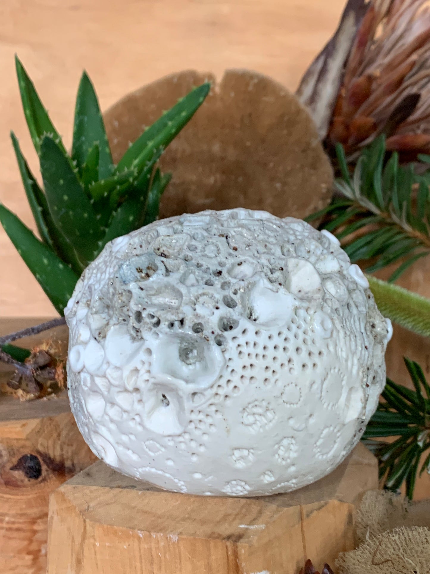 Hand made mixed clay paperweight’ choose one ‘coral’