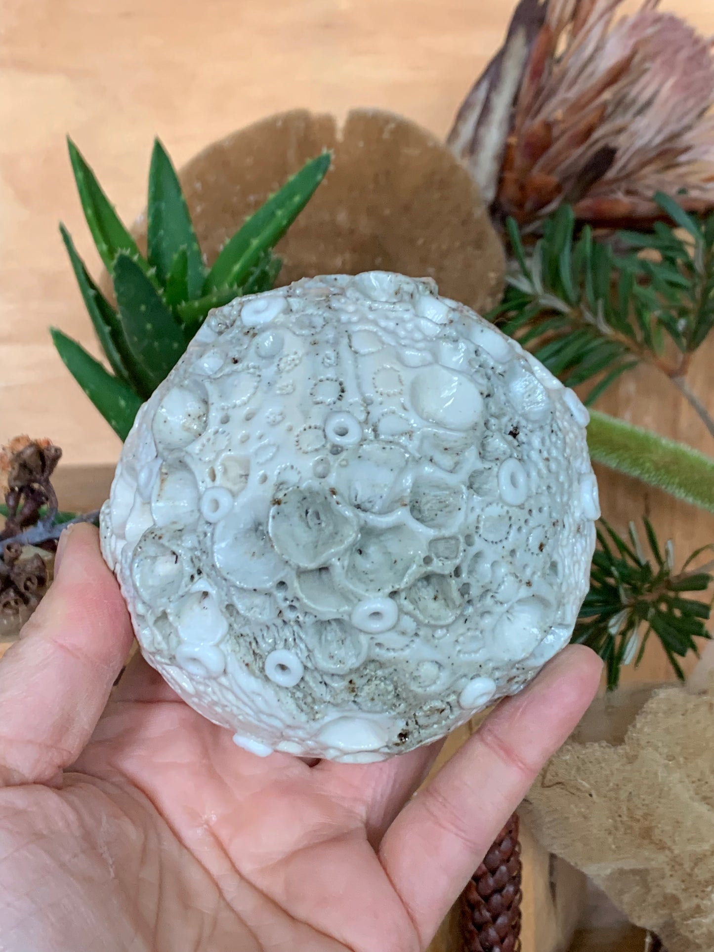 Hand made mixed clay paperweight’ choose one ‘coral’