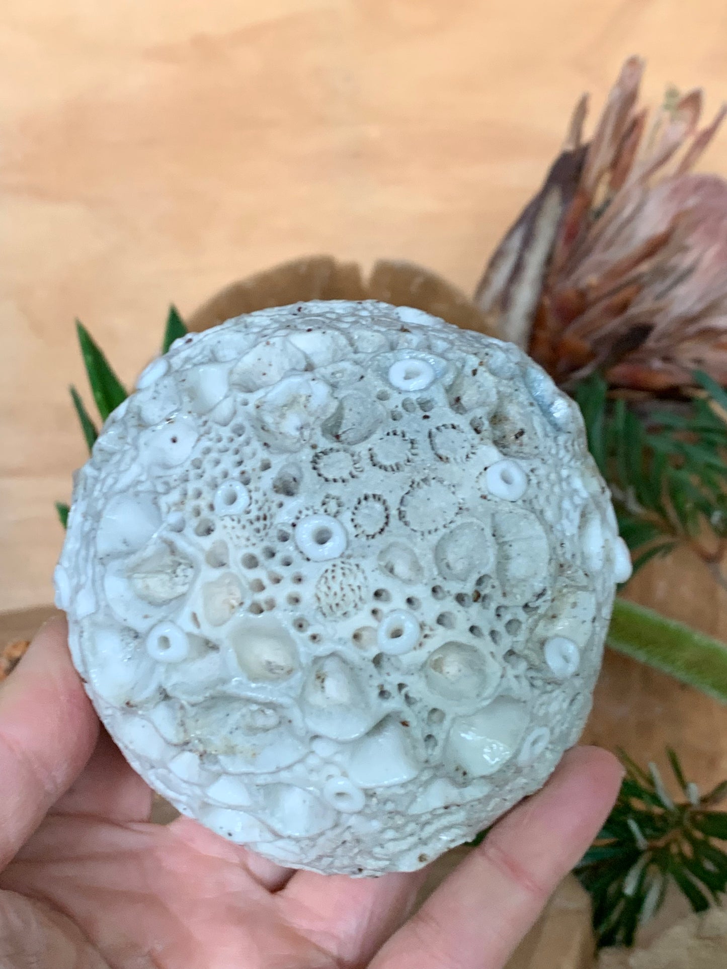 Hand made mixed clay paperweight’ choose one ‘coral’
