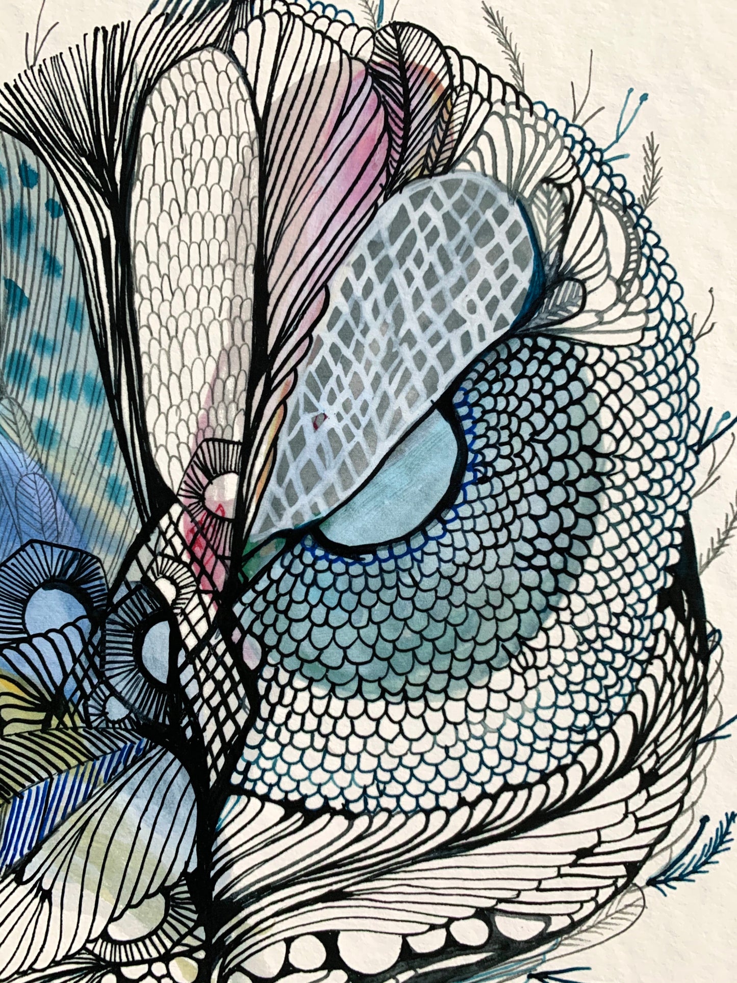 ‘Following fine lines' giclee print in A3, A4 or a5
