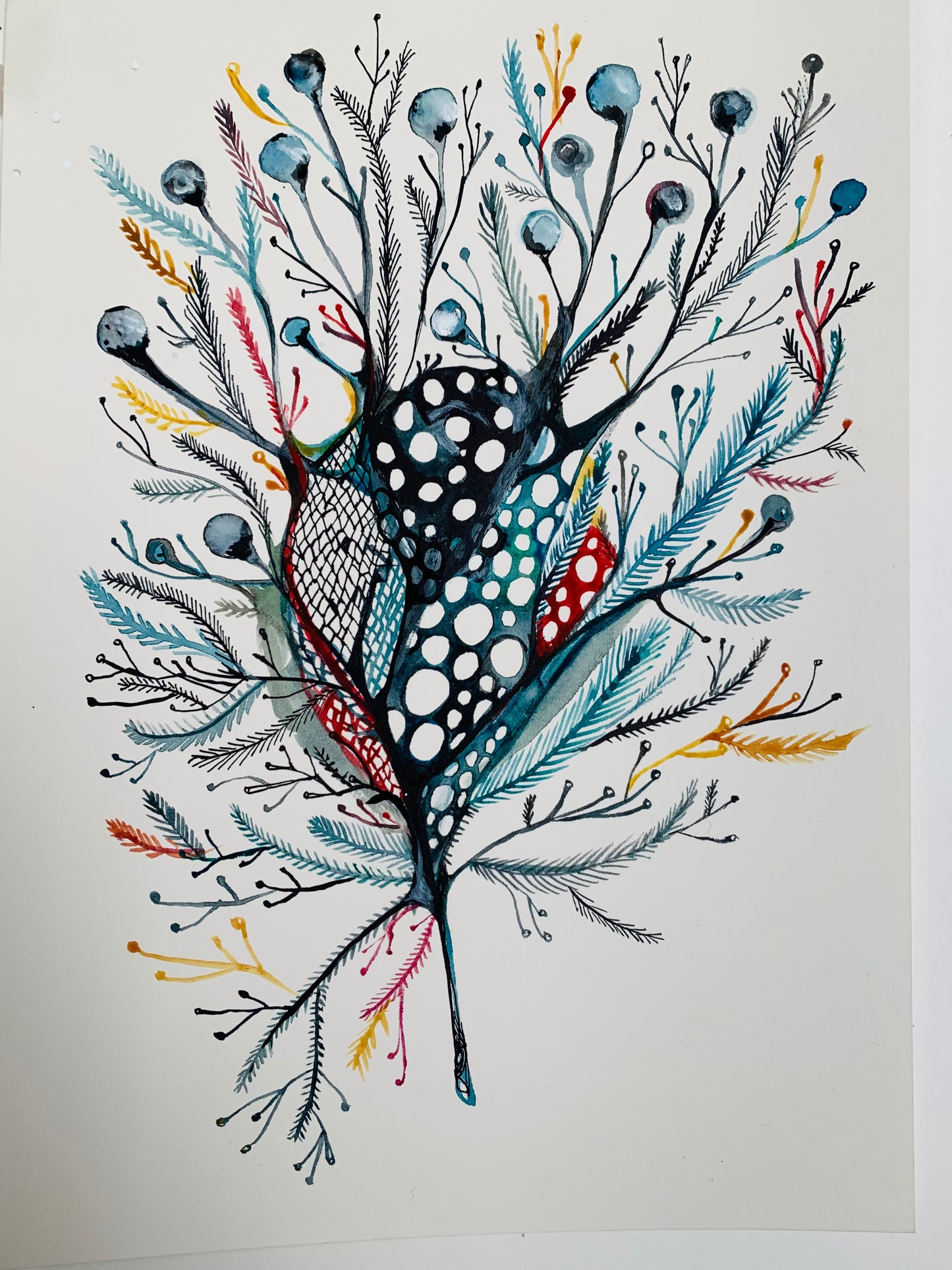 Seaweed study, 3 (A4)