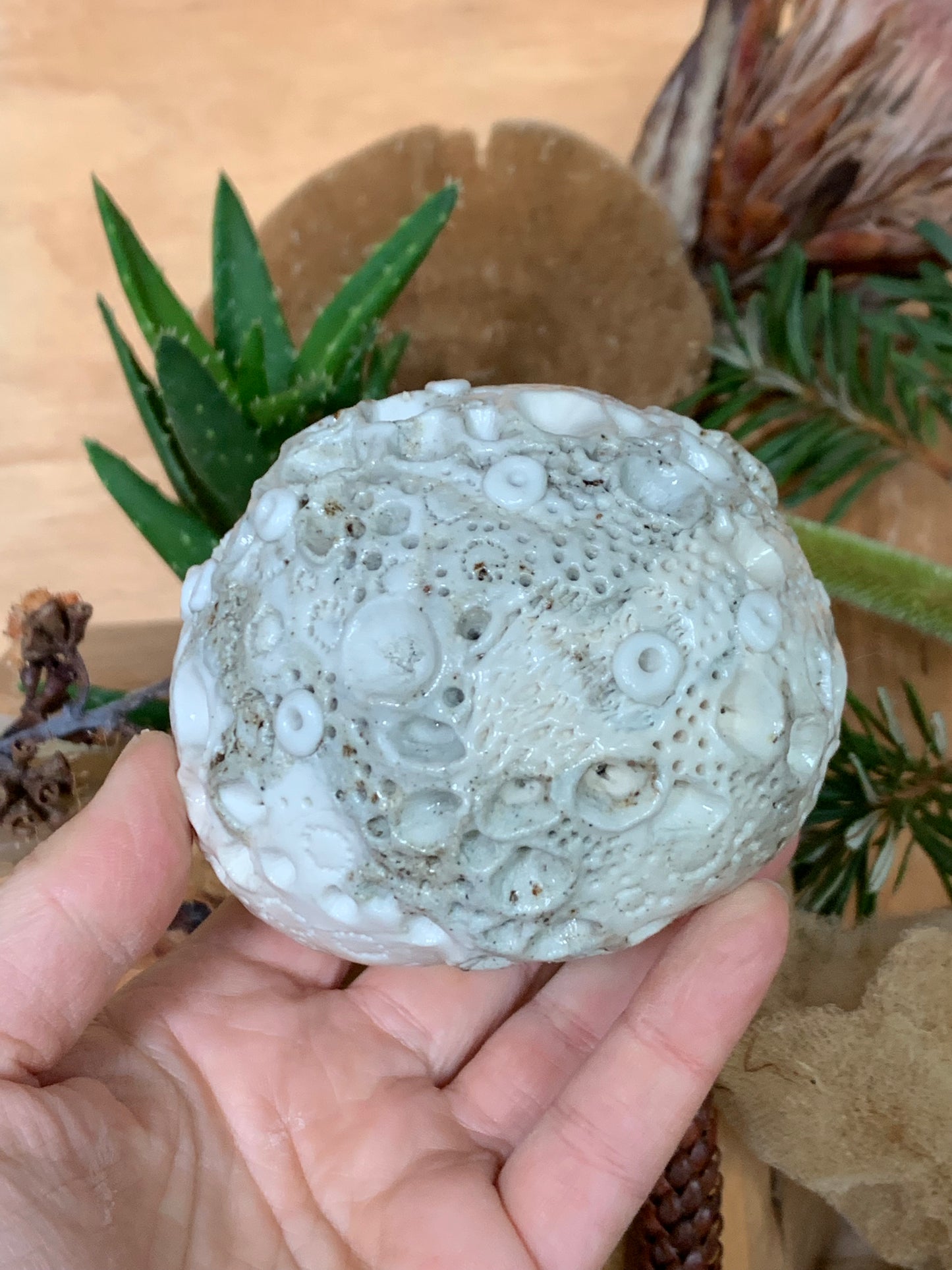 Hand made mixed clay paperweight’ choose one ‘coral’