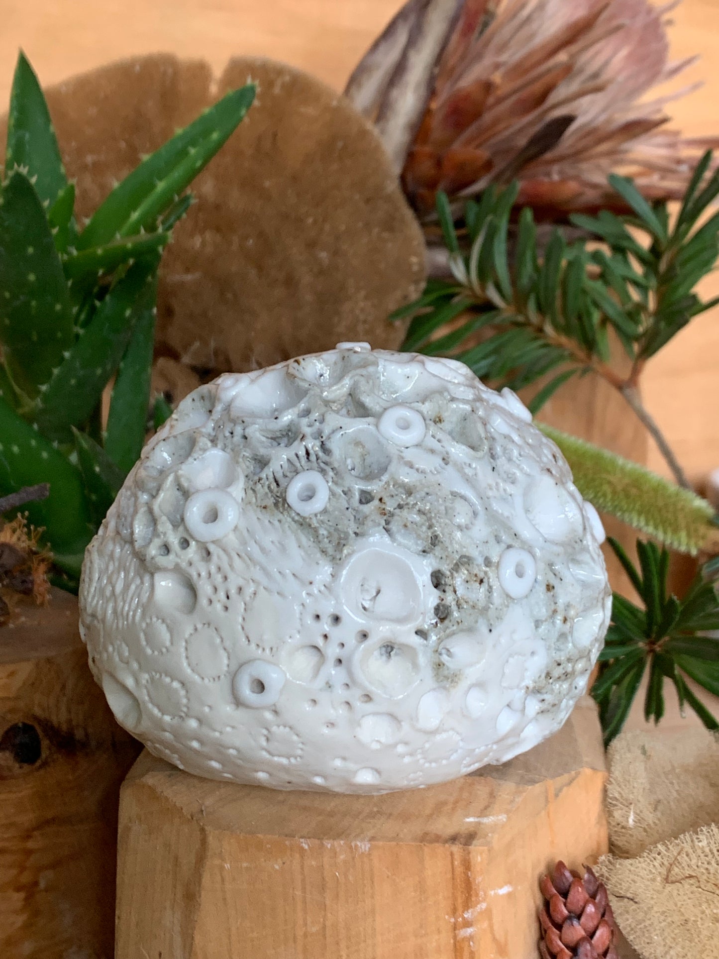 Hand made mixed clay paperweight’ choose one ‘coral’