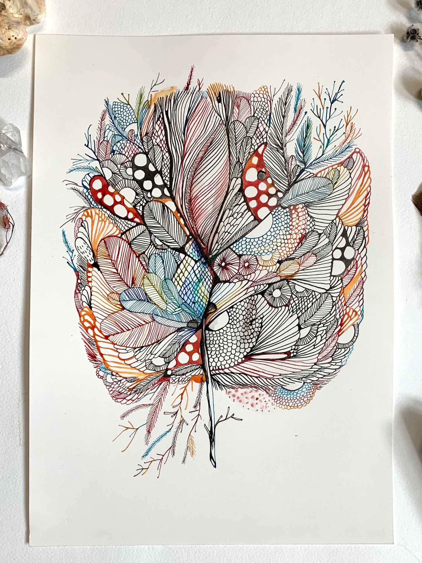 Seaweed study, red (a3)