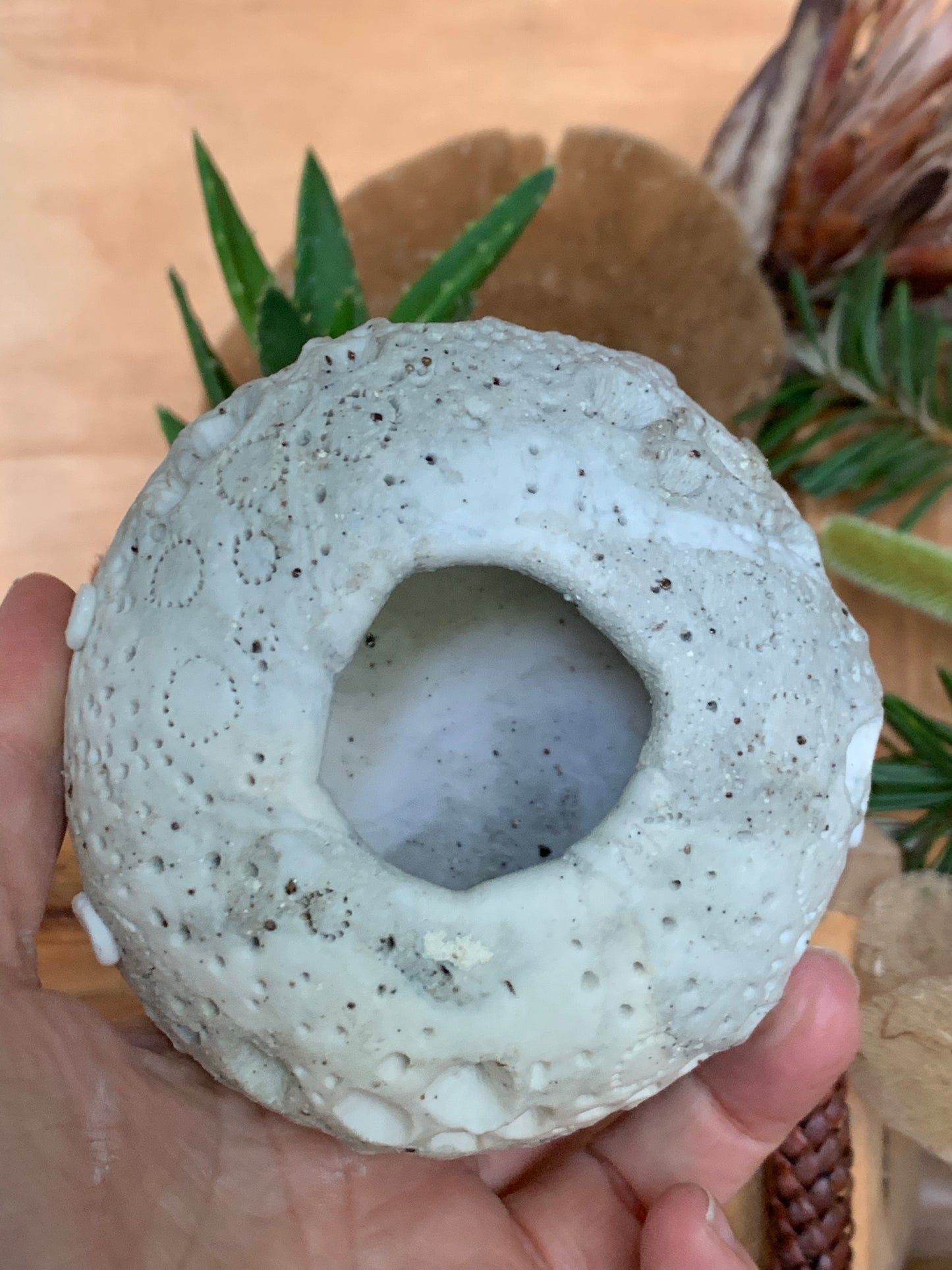 Hand made mixed clay paperweight’ choose one ‘coral’
