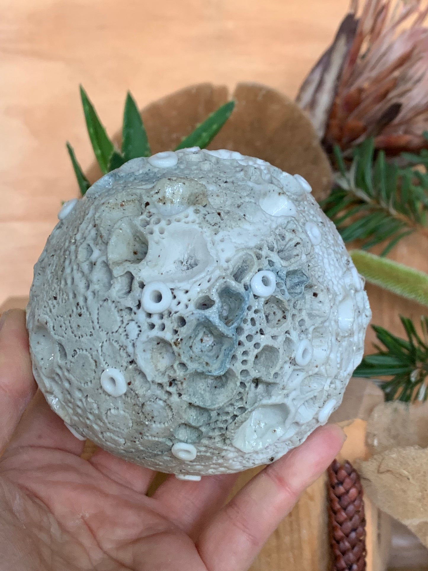 Hand made mixed clay paperweight’ choose one ‘coral’