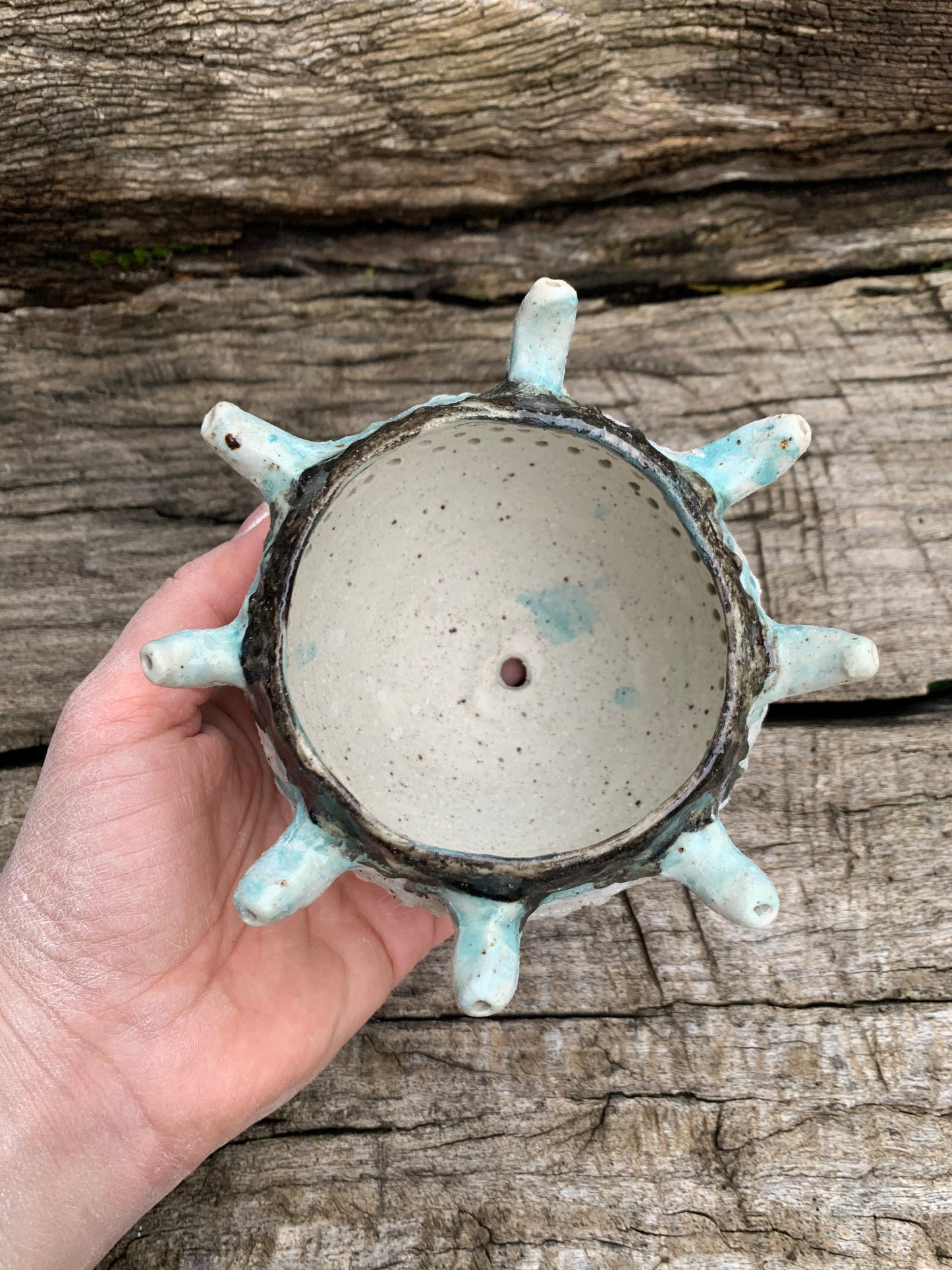 ‘Urchin’ planter pot, with drainage hole