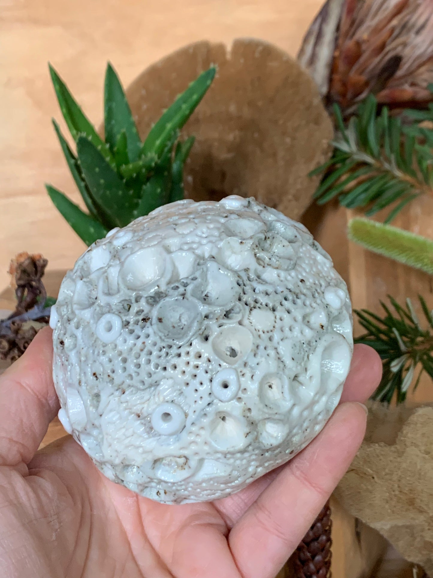 Hand made mixed clay paperweight’ choose one ‘coral’