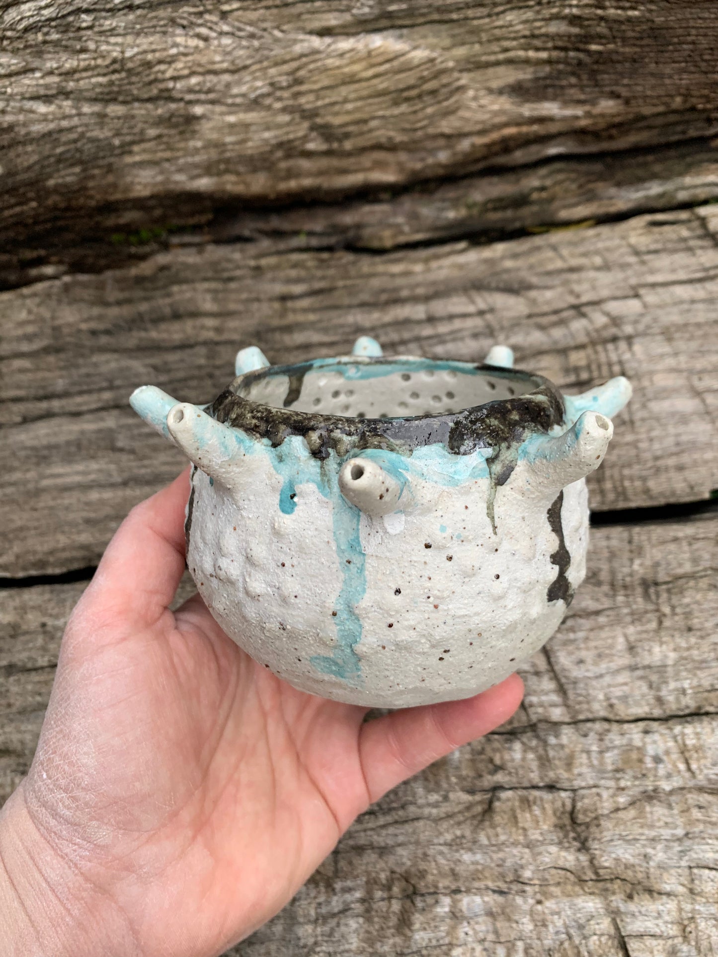‘Urchin’ planter pot, with drainage hole