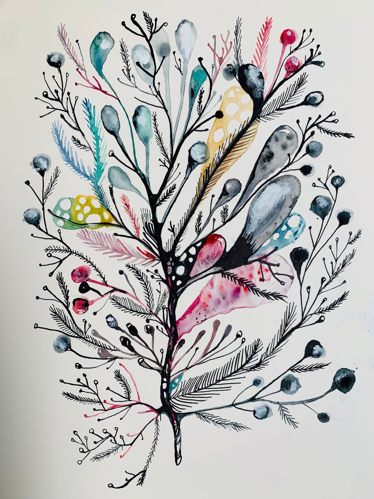 Seaweed study, 2 (A4)