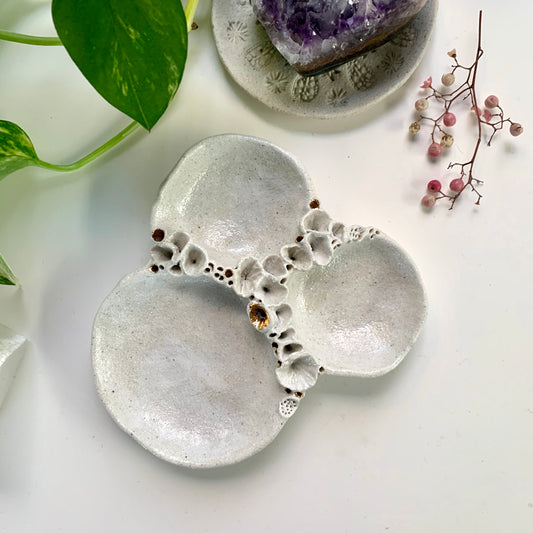 Hand formed ceramic ‘rock coral’ Trinket Dish