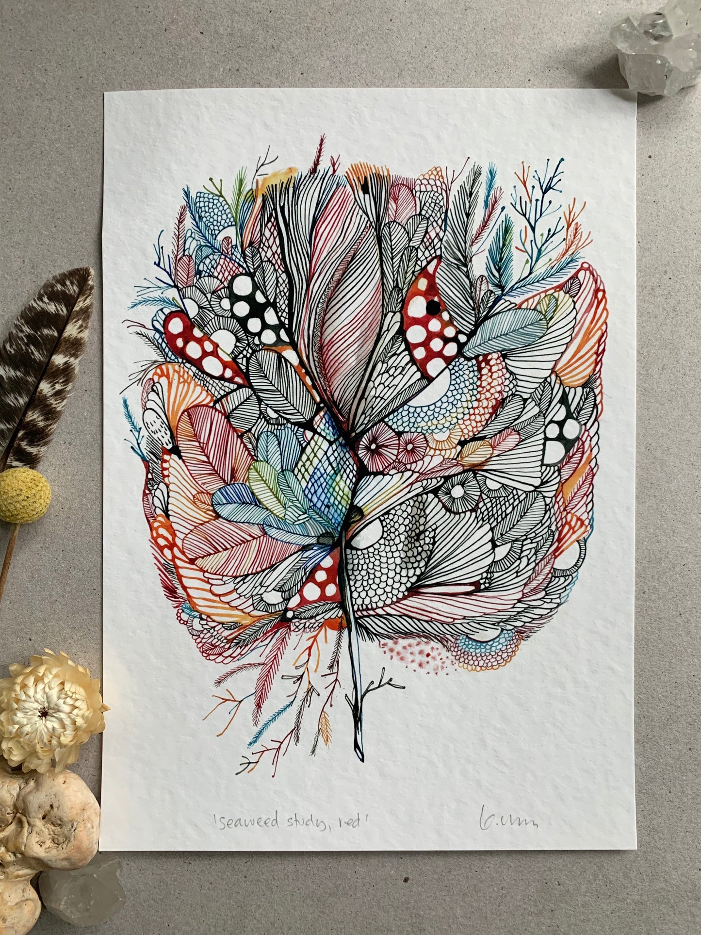 ‘Seaweed study, red' giclee print in A3, A4 or a5