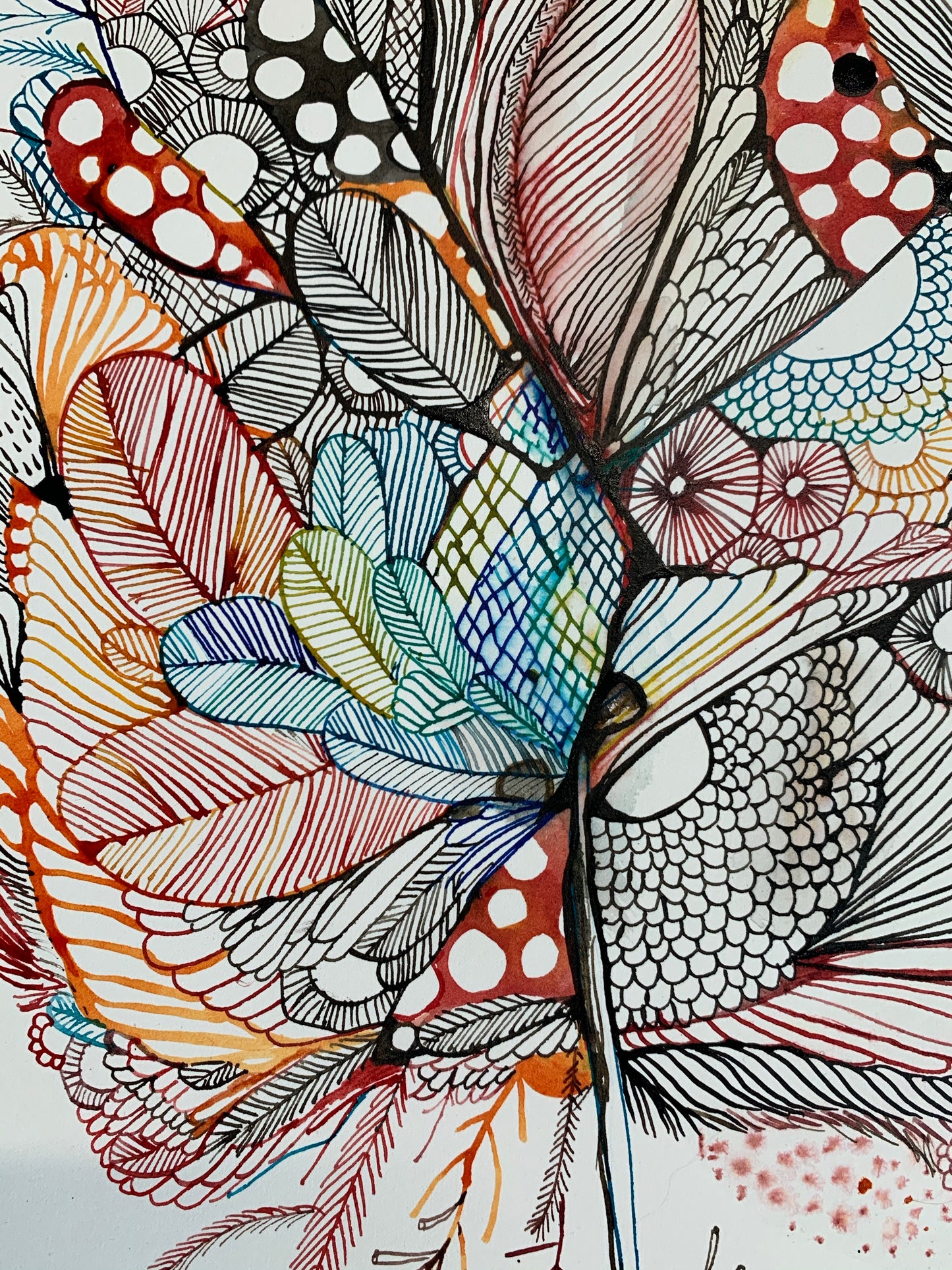 Seaweed study, red (a3)