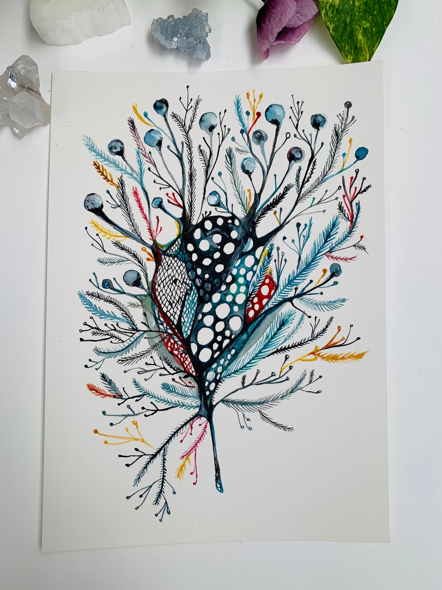 Seaweed study, 3 (A4)