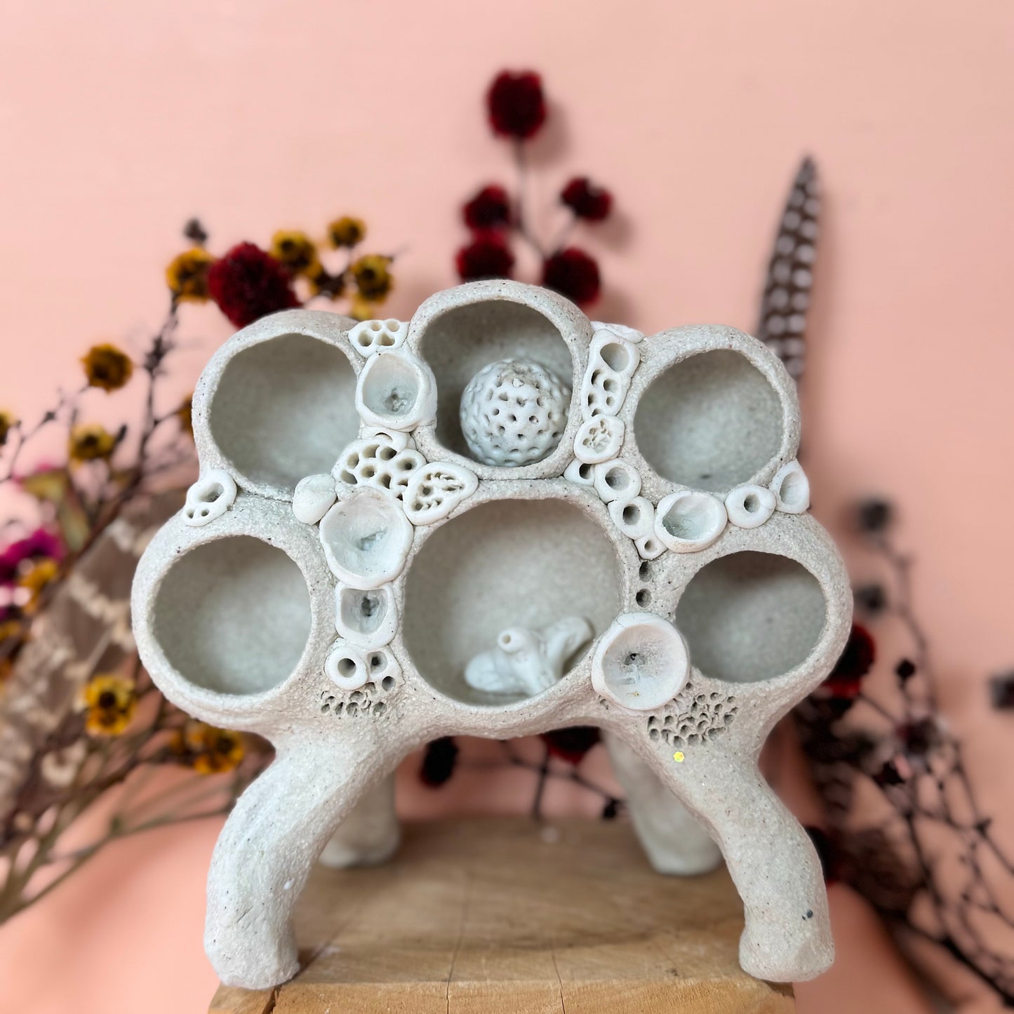 Small ‘Treasure Shelf’ with Coral Accents & Accessories