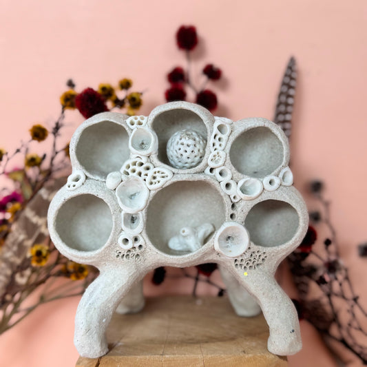 Small ‘Treasure Shelf’ with Coral Accents & Accessories
