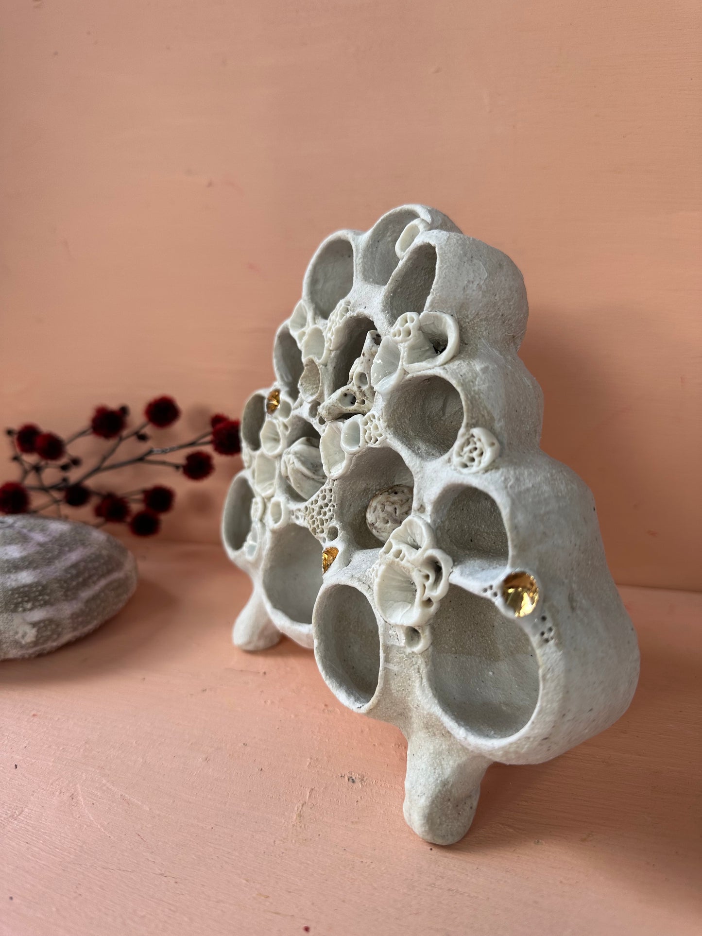 Coral ‘treasure shelf’ and accessories