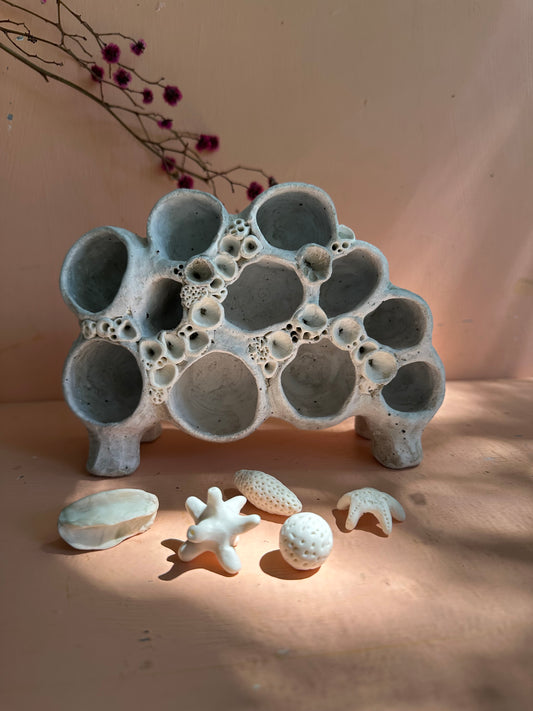 Coral ‘treasure shelf’ and accessories