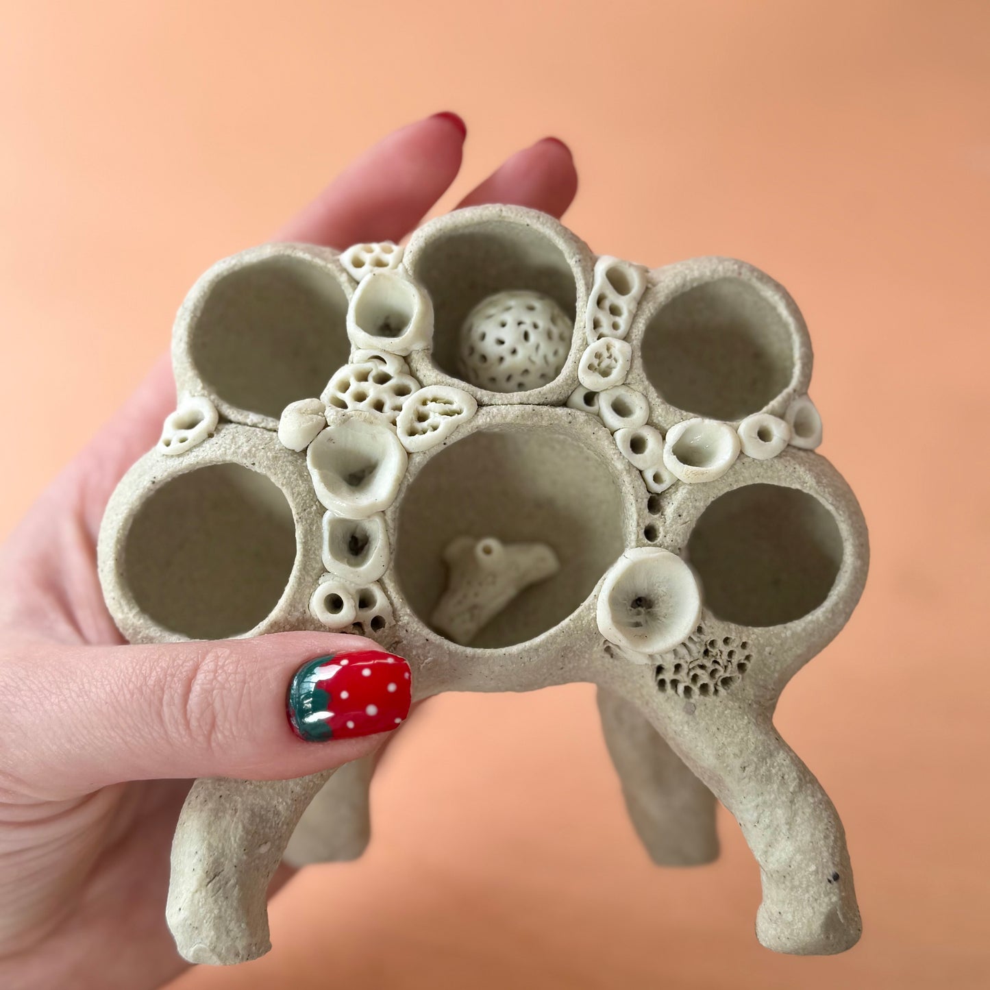 Small ‘Treasure Shelf’ with Coral Accents & Accessories