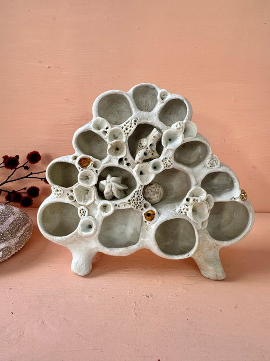 Coral ‘treasure shelf’ and accessories