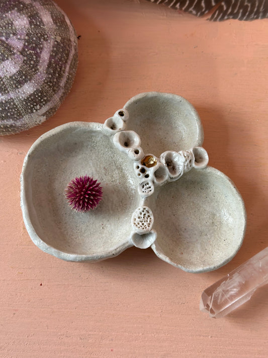 Hand formed ceramic ‘rock coral’ Trinket Dish