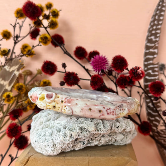 Handmade Pink Porcelain Coral Bangle