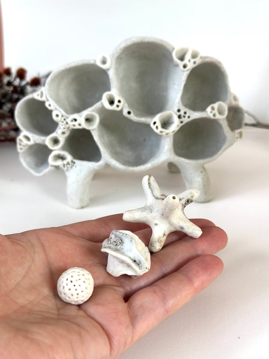 ‘treasure shelf’ with coral accents & accessories