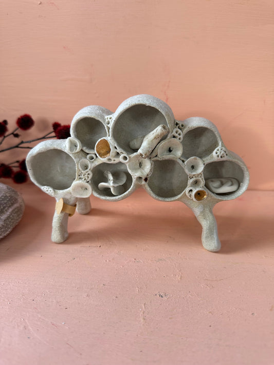 Small ‘treasure shelf’ with coral accents & accessories