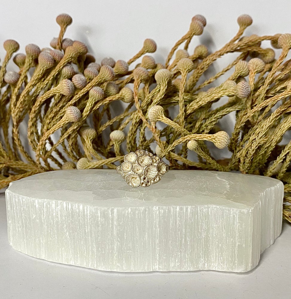 Sterling Silver “Rock Coral” Ring #7