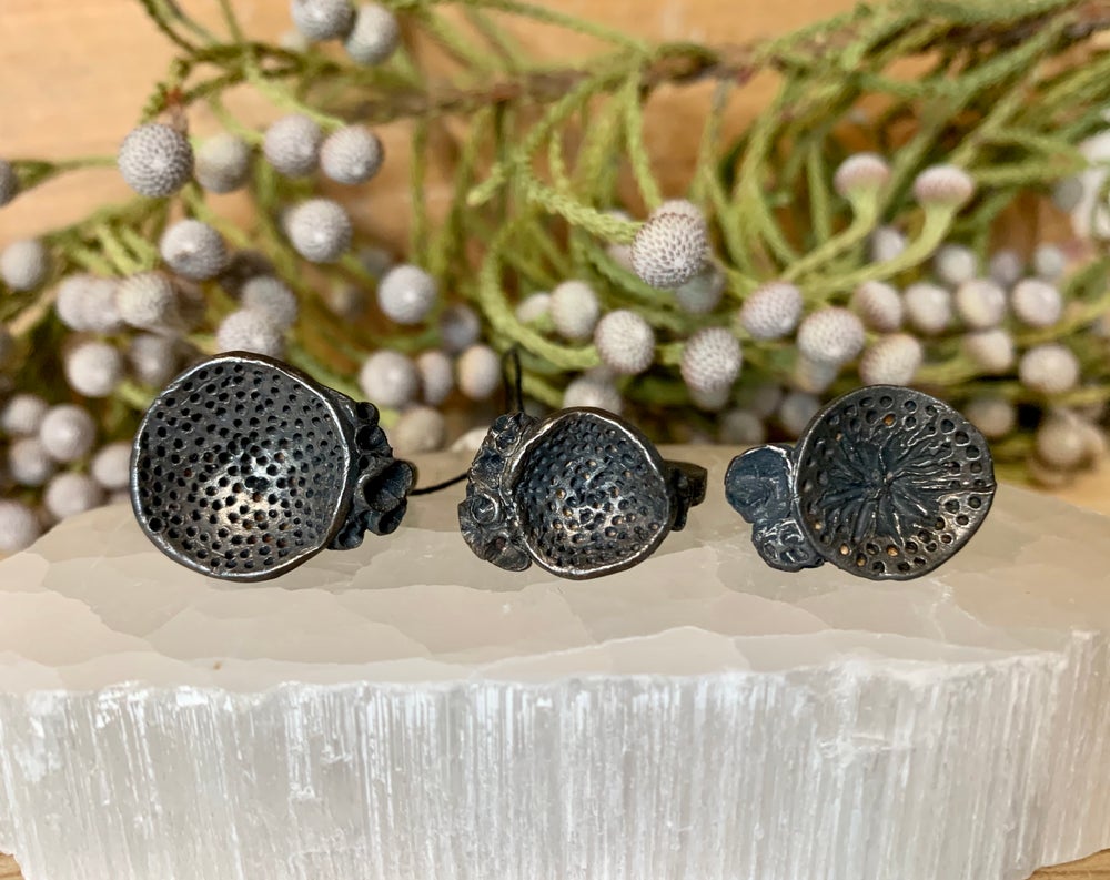 Oxidised sterling silver ‘rock Coral’ ring