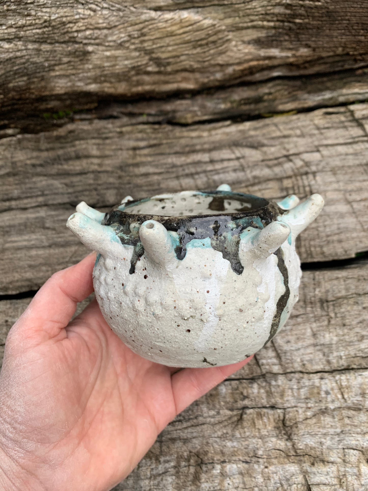 ‘Urchin’ planter pot, with drainage  hole