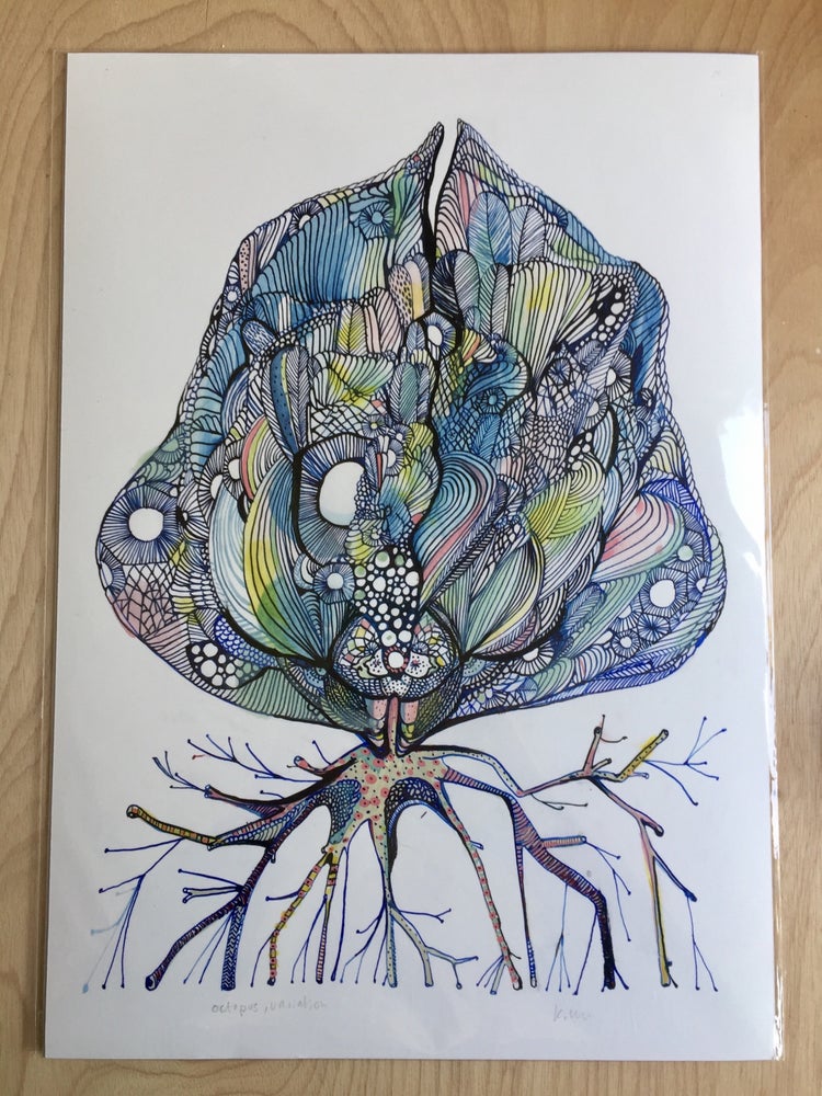 'Octopus, variation' fine art print, A3 or A4